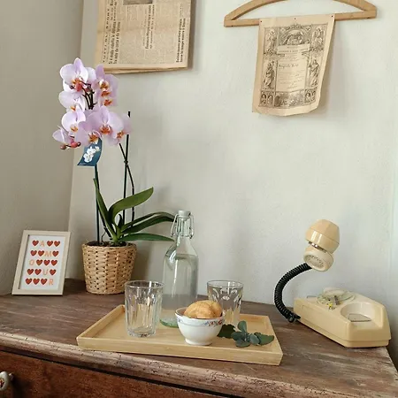 Barba Vigin Bed and Breakfast San Damiano dʼAsti