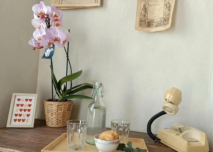 Barba Vigin Bed and breakfast San Damiano dʼAsti